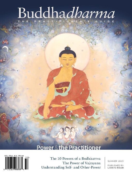 Title details for Buddhadharma: The Practitioner's Quarterly by Shambhala Sun Foundation - Available